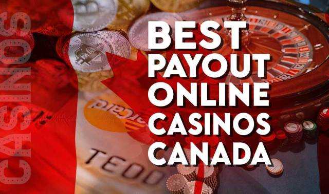 Highest payout online casino